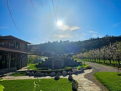 Rakija Distillery Guided Tour and Tasting