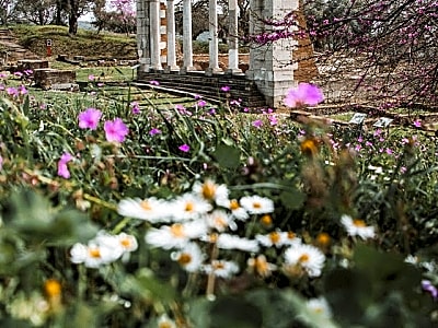 Discover Apollonia Archaeological Park from Fier