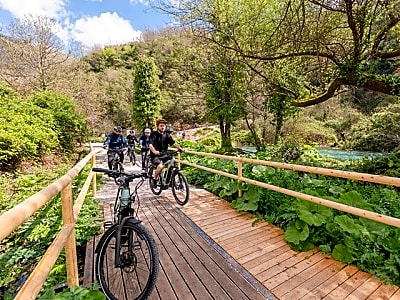 Blue Eye E-Bike Tour with Local Guide (Kayak & Hiking Optional)
