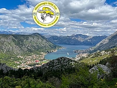 Medieval Montenegro - Budva, Cetinje & Kotor VIP Private Tour