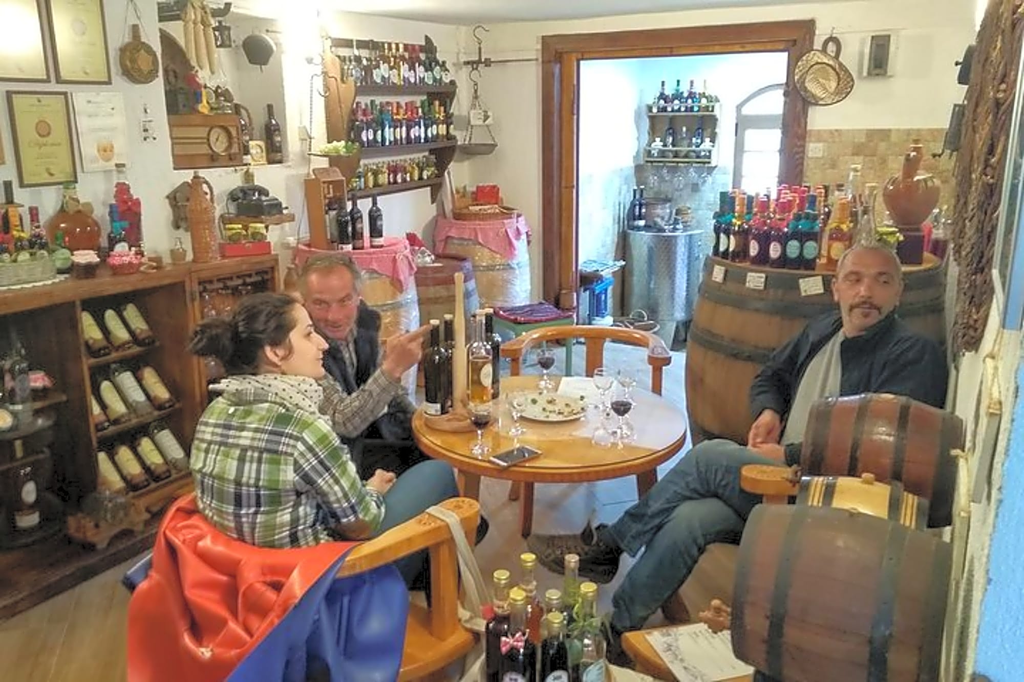 Wine tasting in the family winery, feel the spirit - Image 1