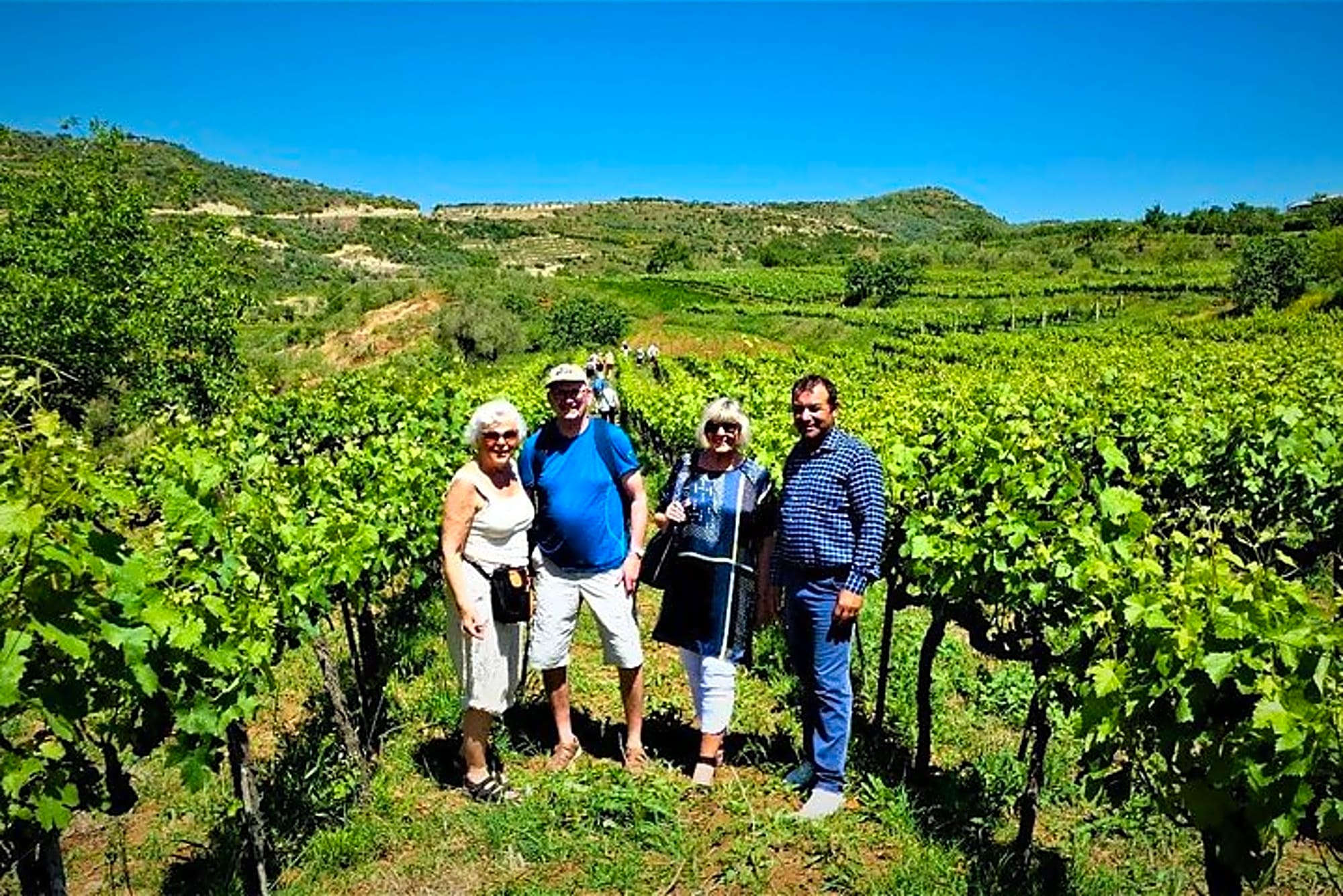 Winetasting tour in Alpeta winery - Roshnik village by 1001 Albanian Adventures - Image 1