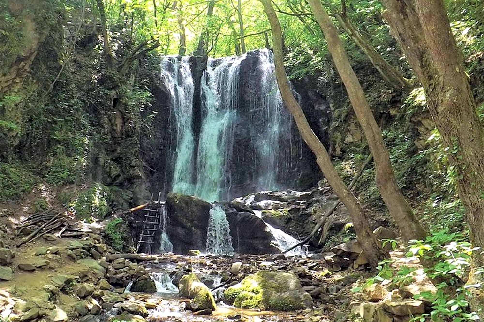 Strumica monasteries and waterfalls tour from Skopje - Image 1