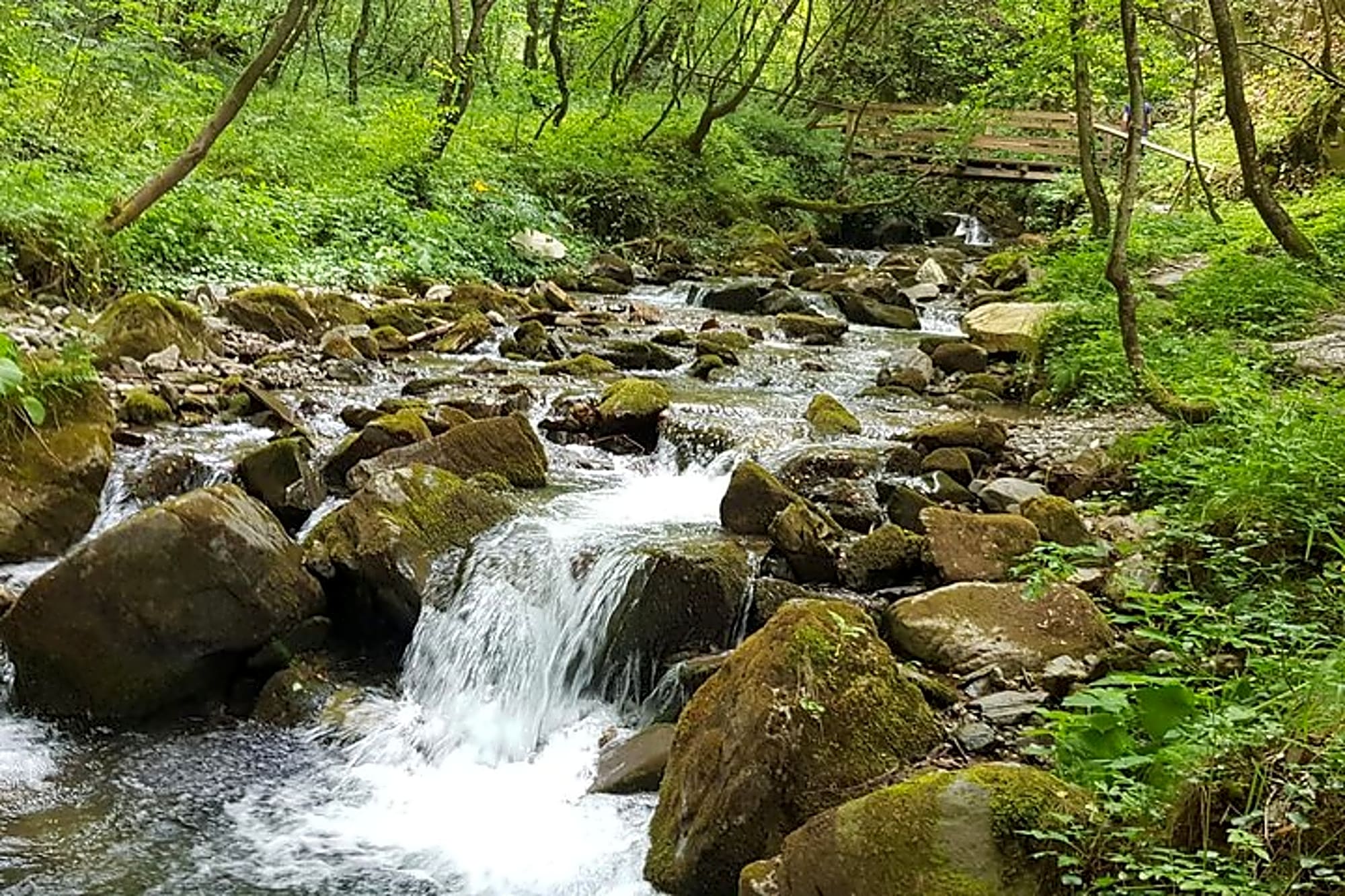Mavrovo, Duf waterfall and Bigorski Monastery tour from Skopje - Image 1