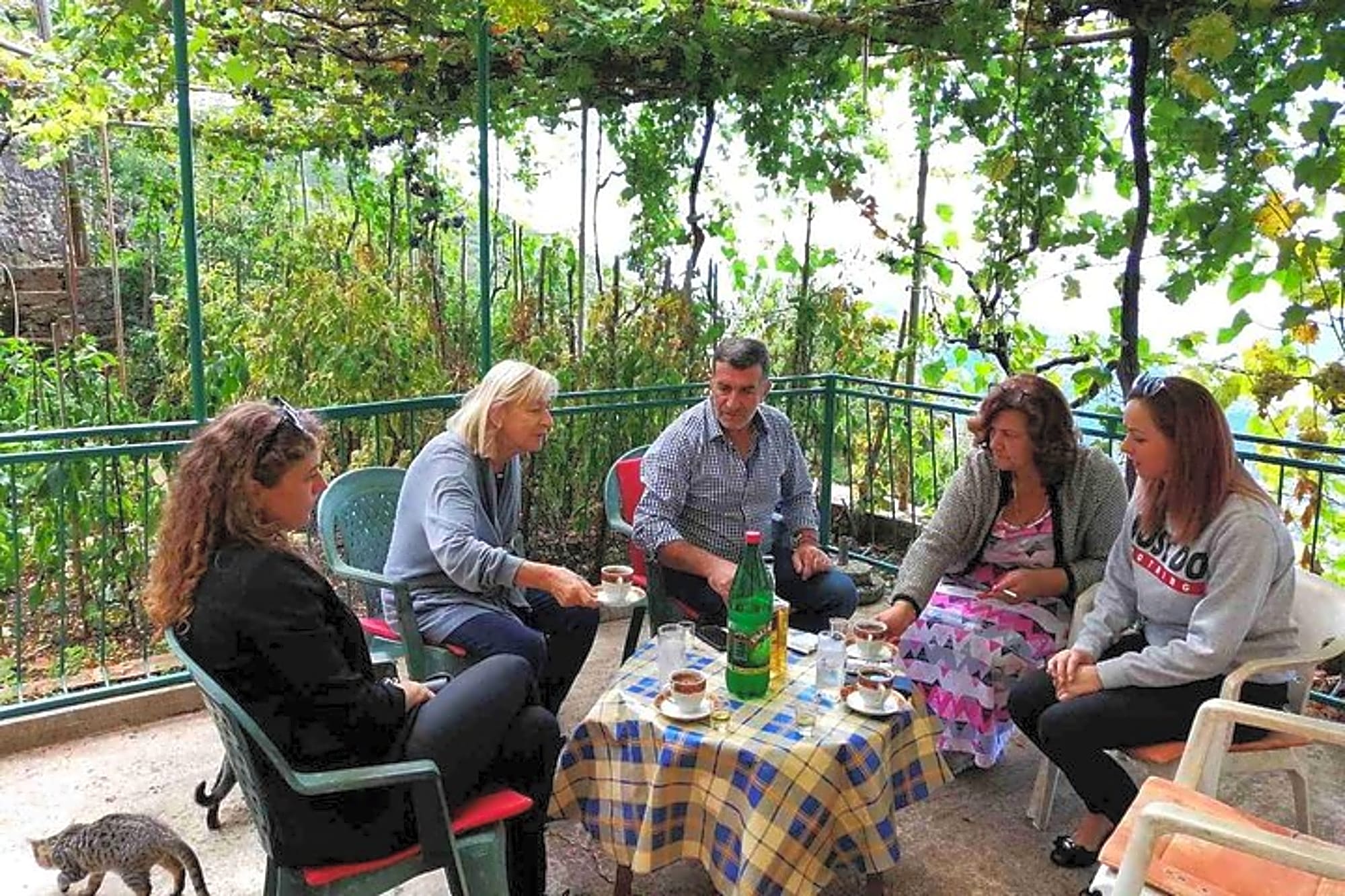 Unique local gastro experience in hills above Budva - Image 1