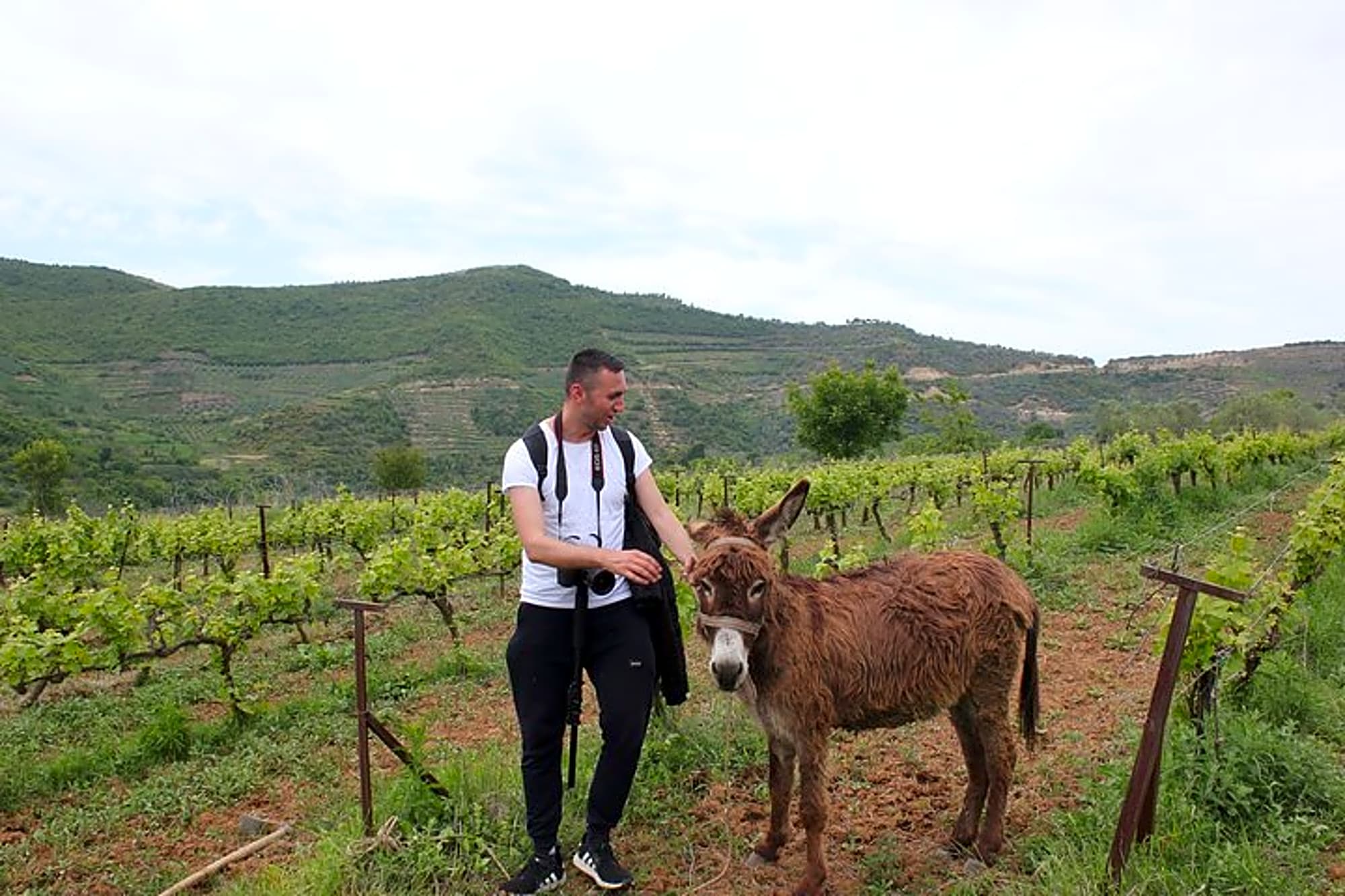 Albanian Highlights - UNESCO sites ,Nature and Food tour - Image 1