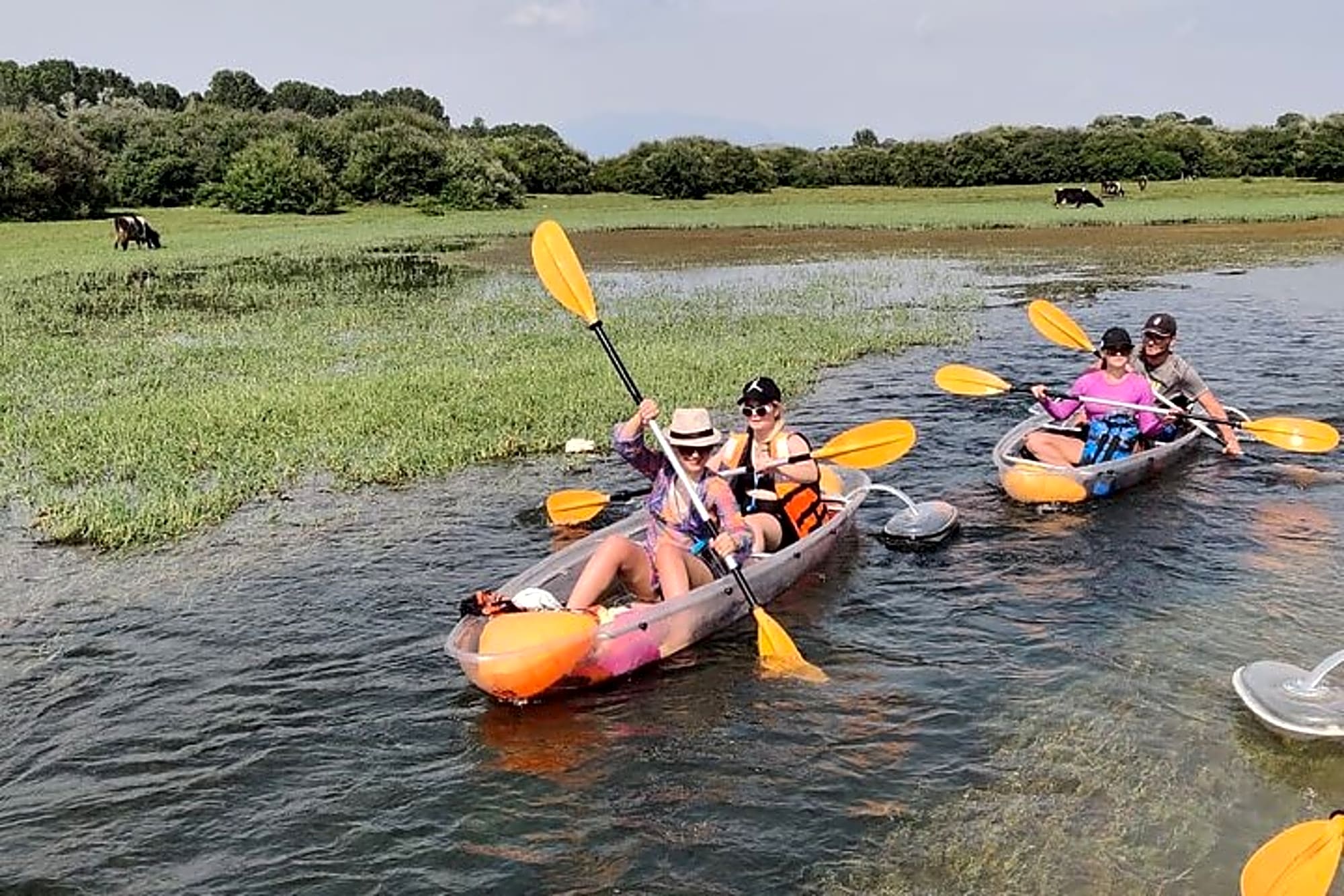 Kayak or Stand Up Paddle in Shkodra Lake and Buna River - Image 1
