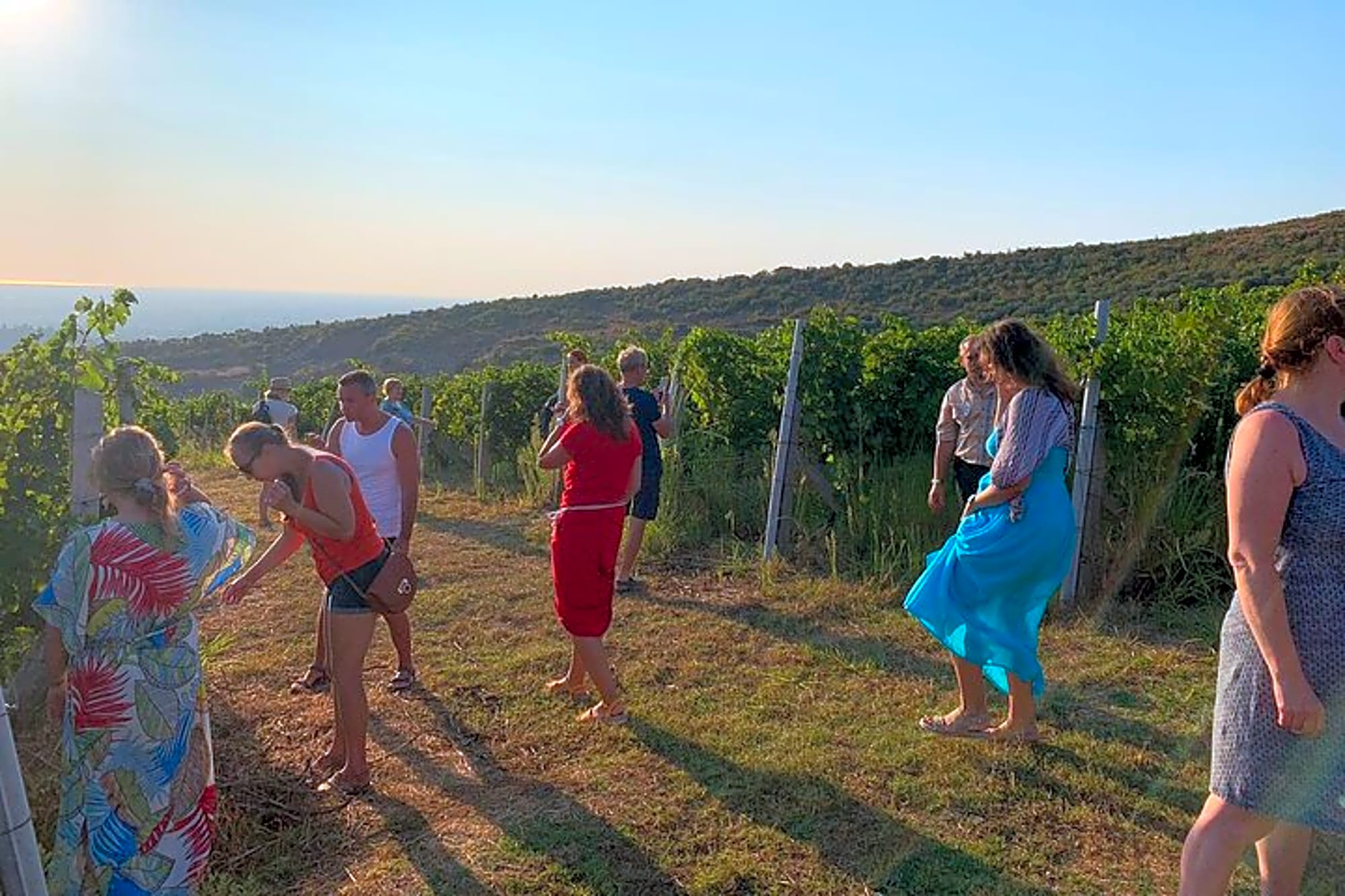 Private Day Tour from Tirana: Durres, Ardenica & Wine Tasting - Image 1