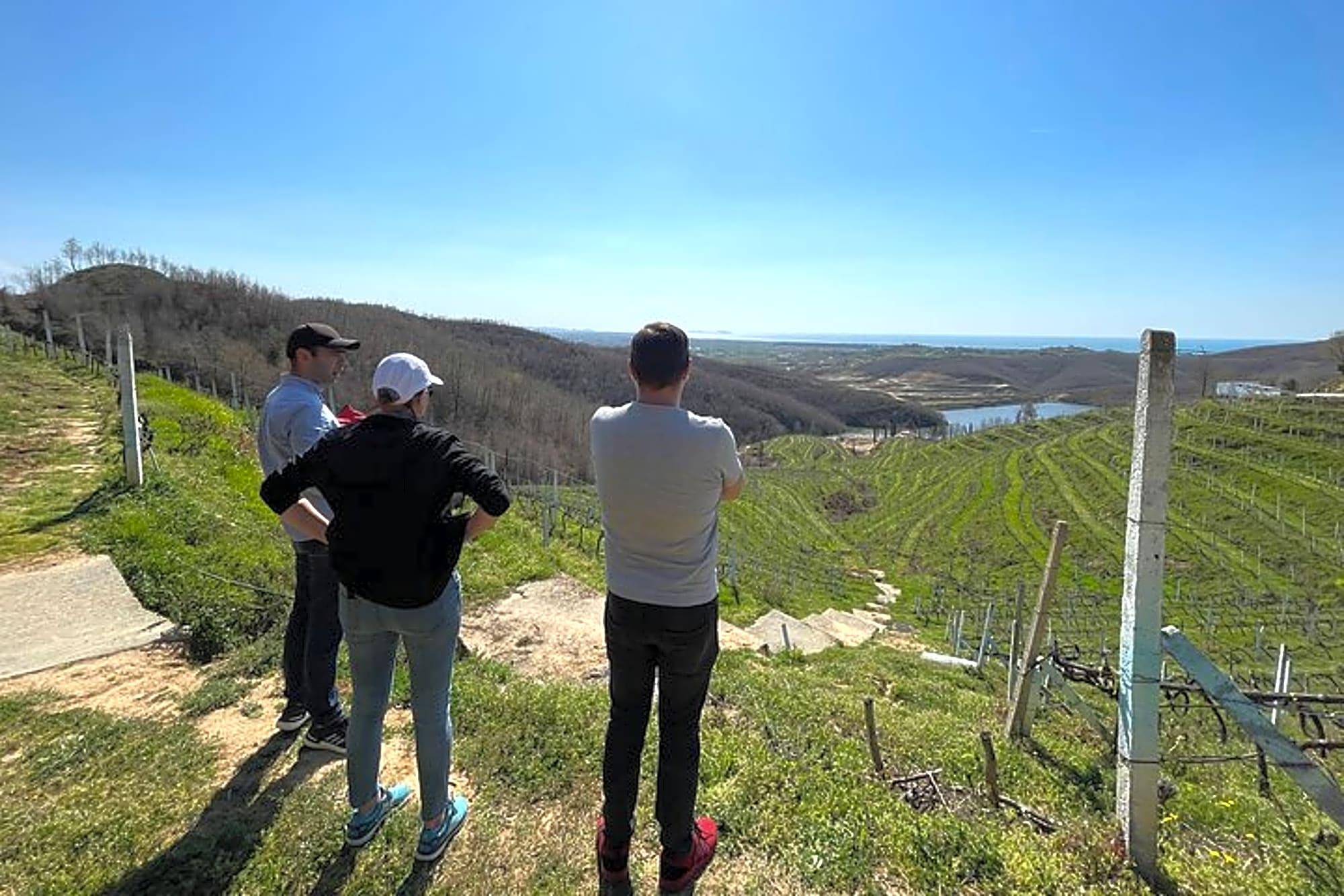 Durres & Wine Tasting Tour - Image 1