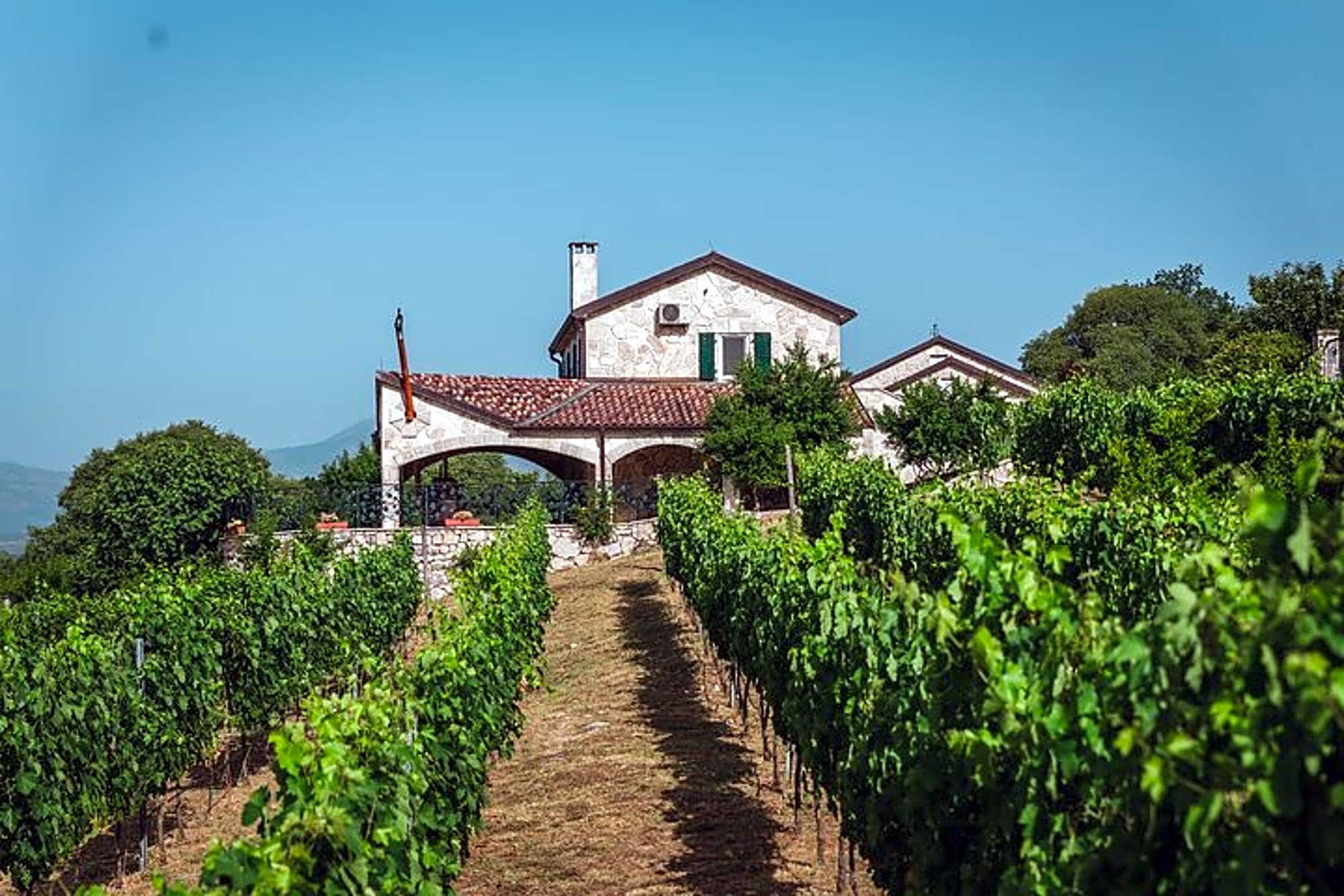 Wine tour- Family winery visit, food tasting & Skadar Lake boat cruise - Image 1