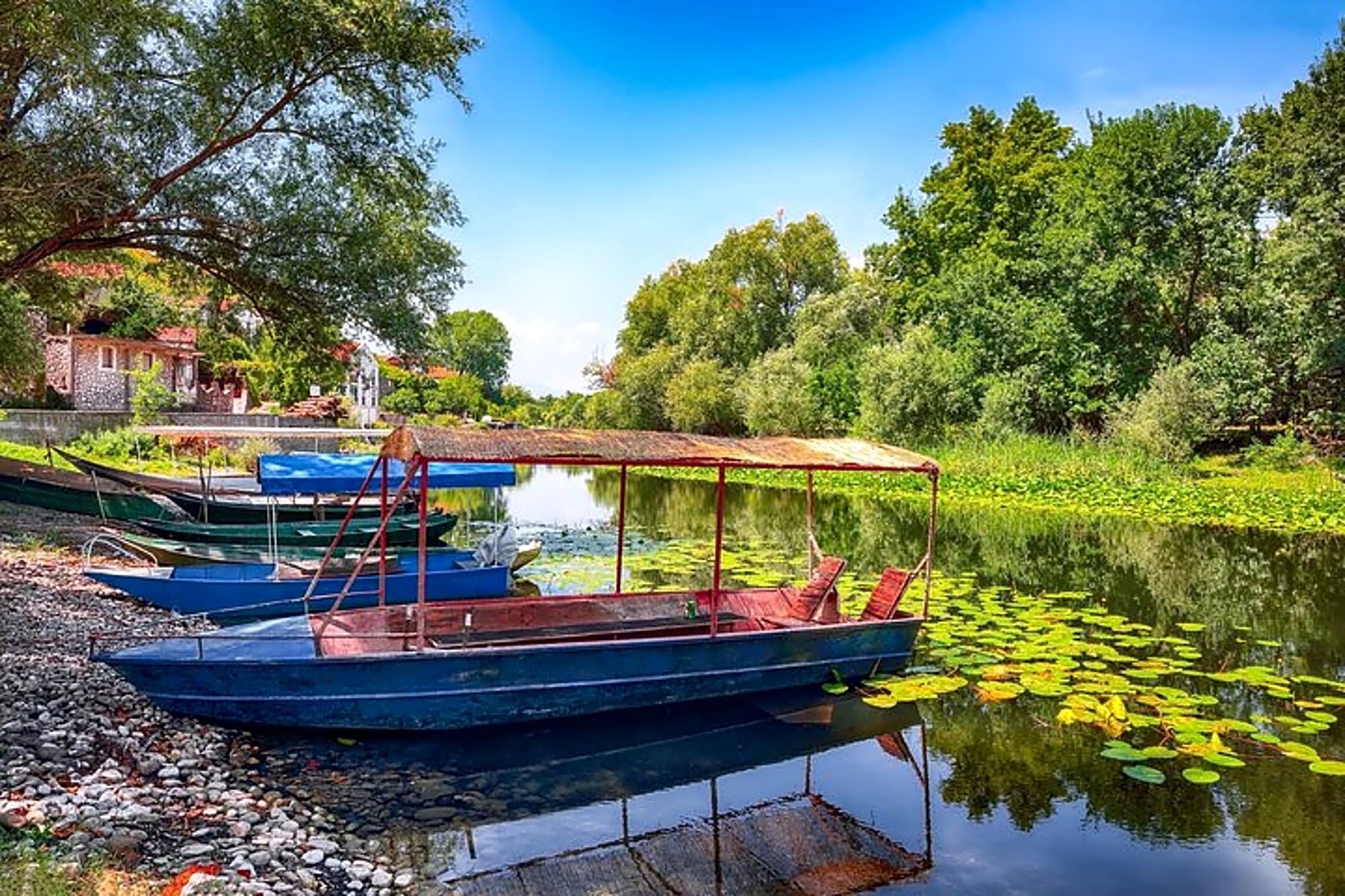 From Petrovac or Budva: Skadar Lake Cruise with Lunch - Image 1