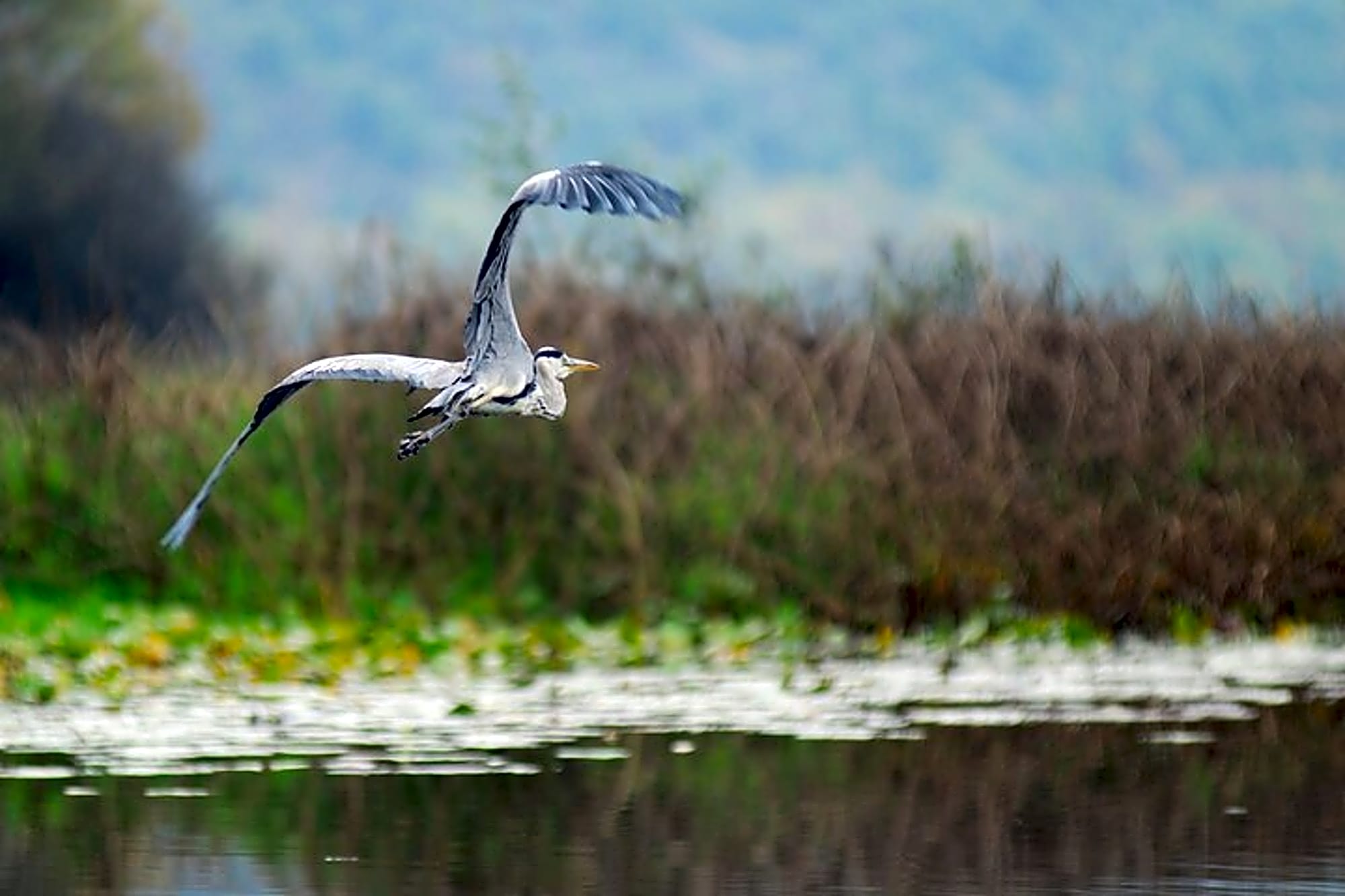 7-Hours Private Guided Wine and Gastro Tour in Skadar Lake - Image 1