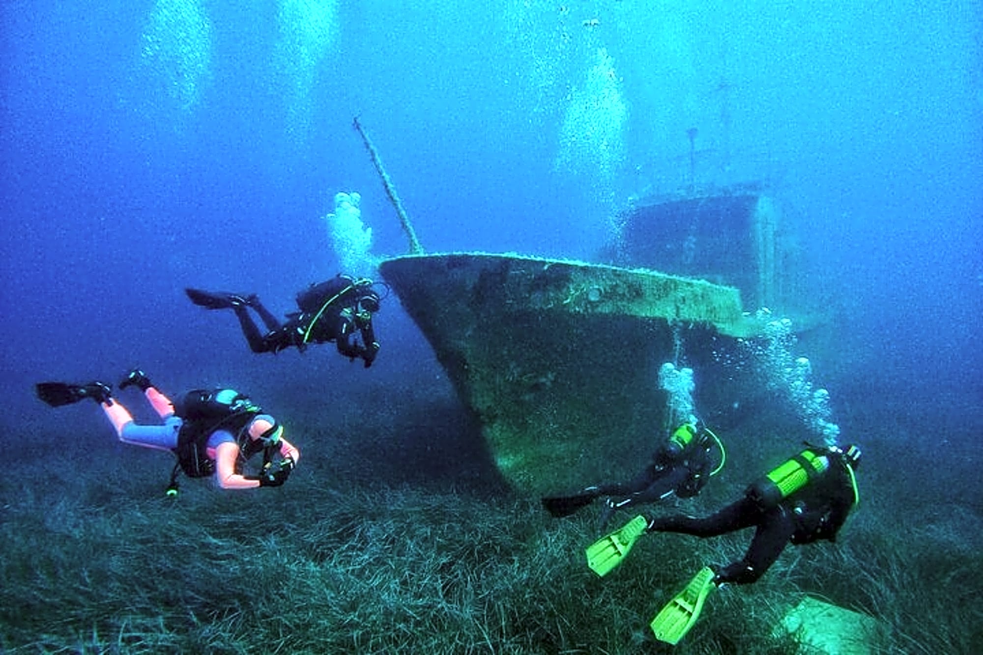 Amazing Diving at the Shipwreck - Image 1