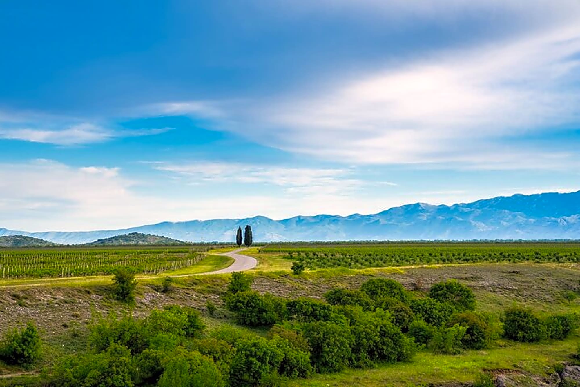 Full Day Private Podgorica Wine Tour Experience - Image 1