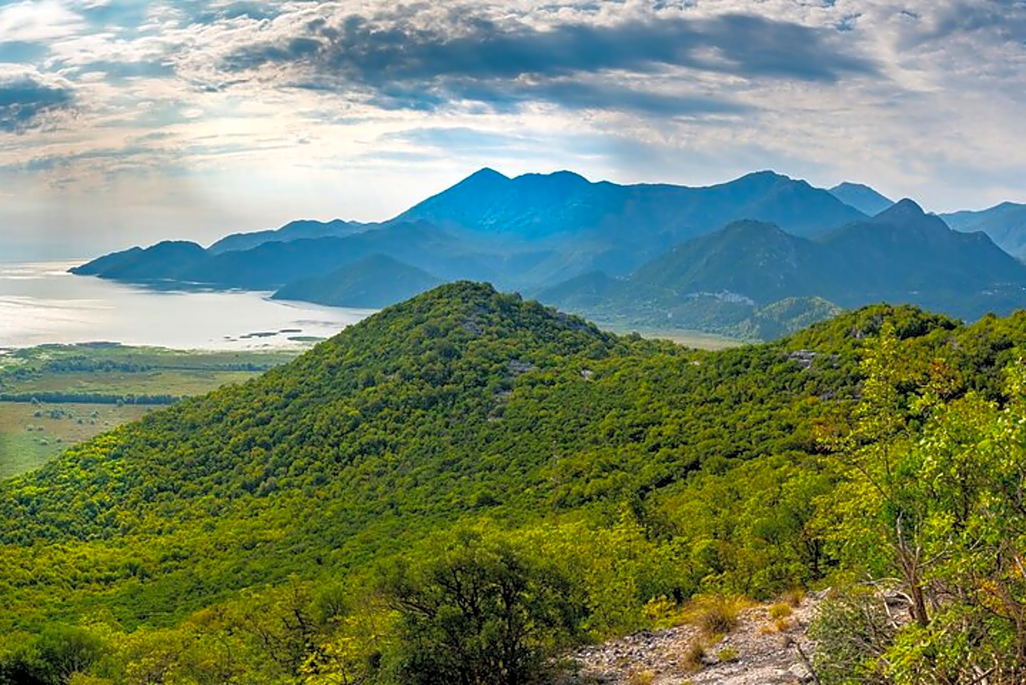 Full Day Private Skadar Lake Wine Tour Experience from Budva - Image 1
