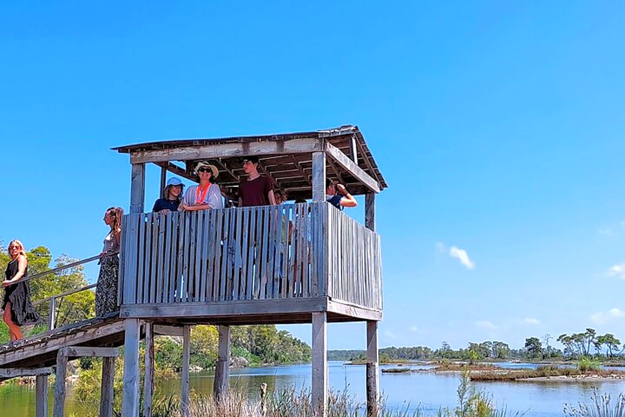 Karavasta Lagoon Adventure: Boat & Wildlife Tour from Durrës - Image 1