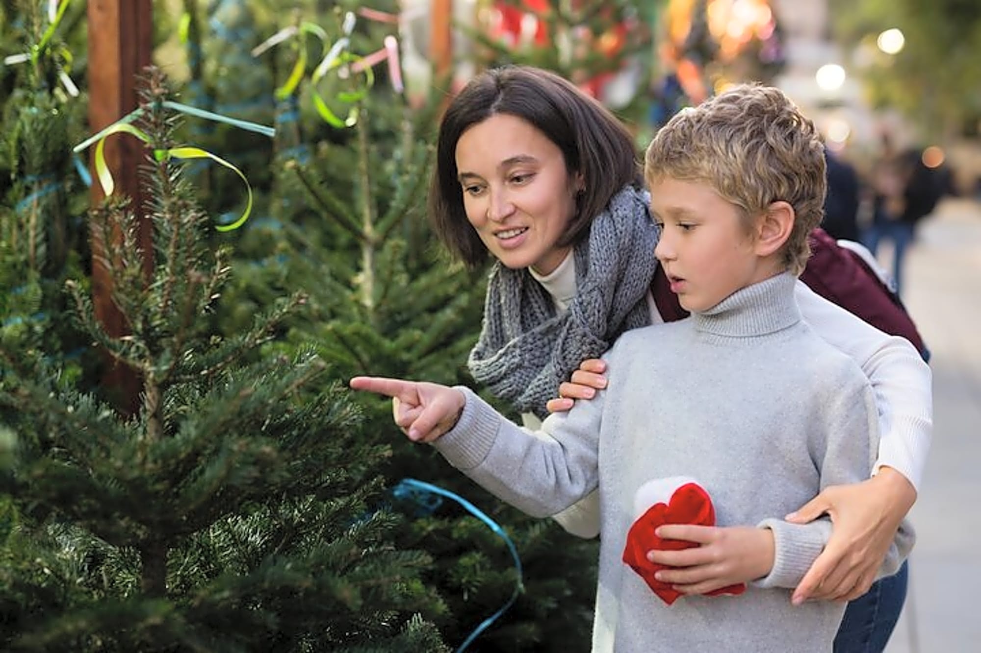 Berat’s Christmas Magic: Private A Festive Walk - Image 1