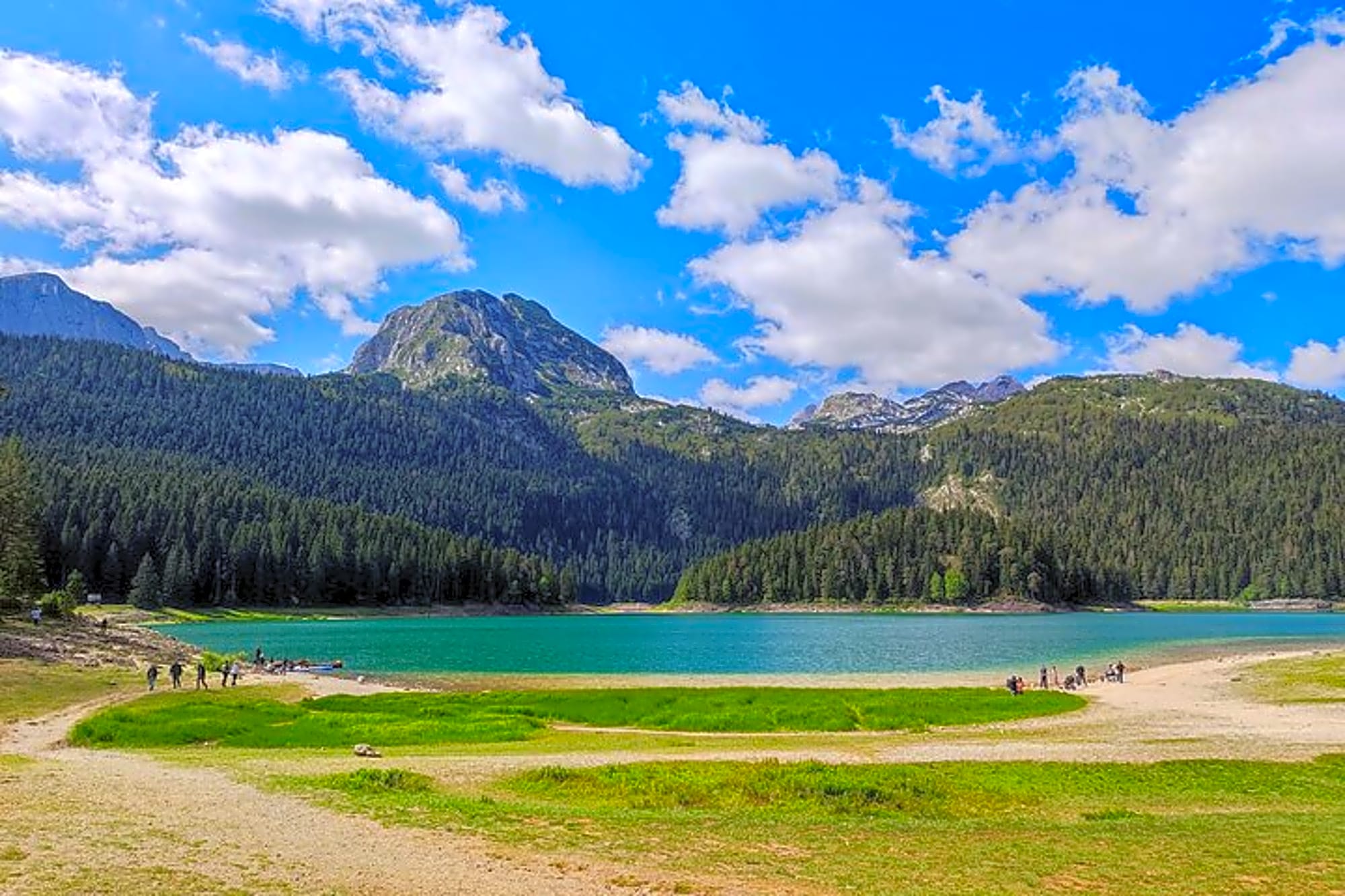 Montenegro: Black Lake and Tara Canyon Day Trip - Image 1