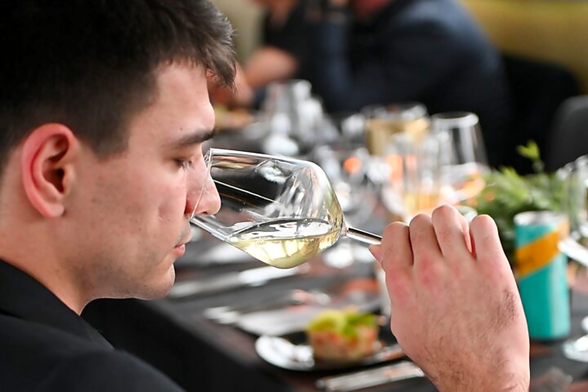 Wine and Dine Cruise Experience in Ohrid - Image 1