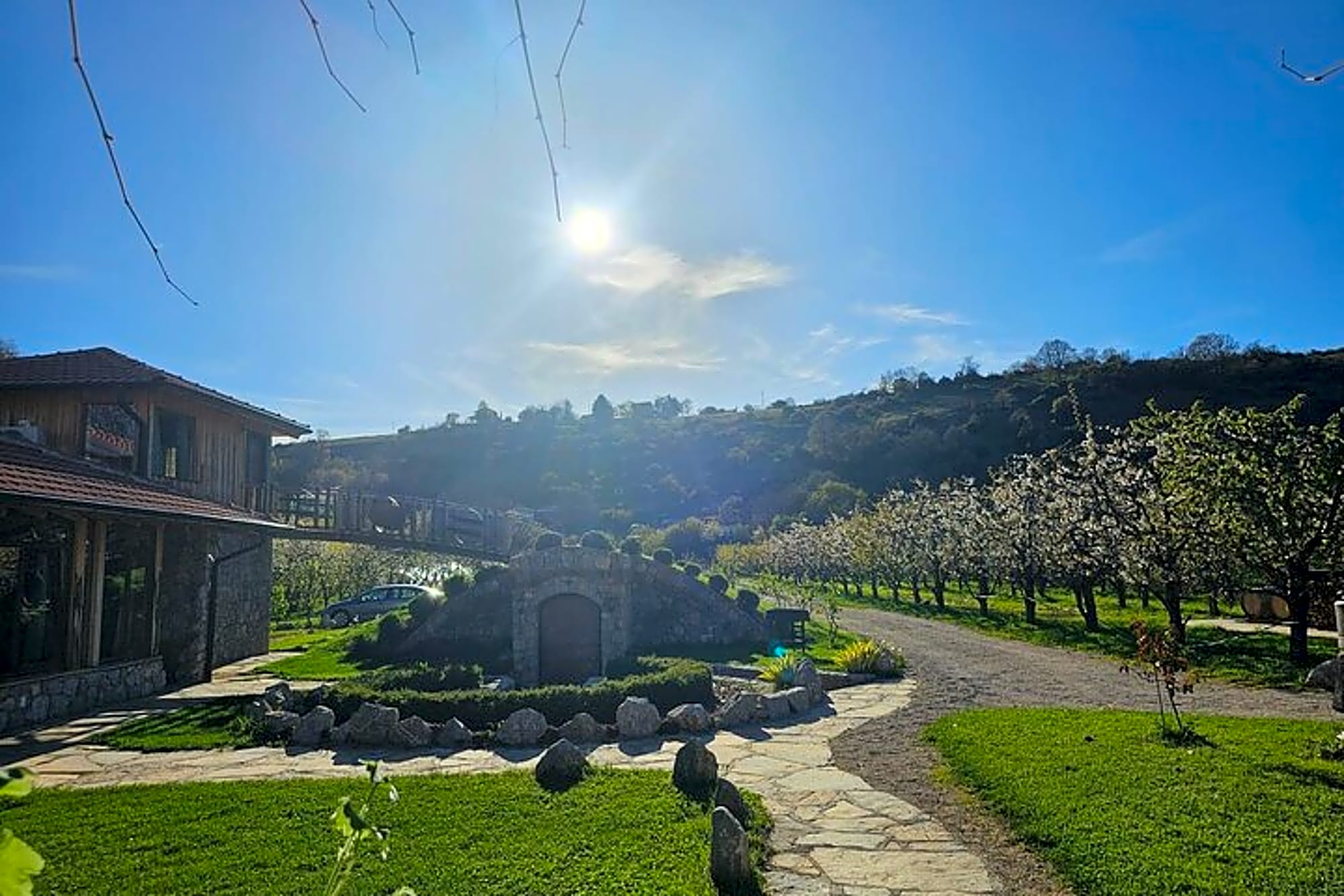 Rakija Distillery Guided Tour and Tasting - Image 1
