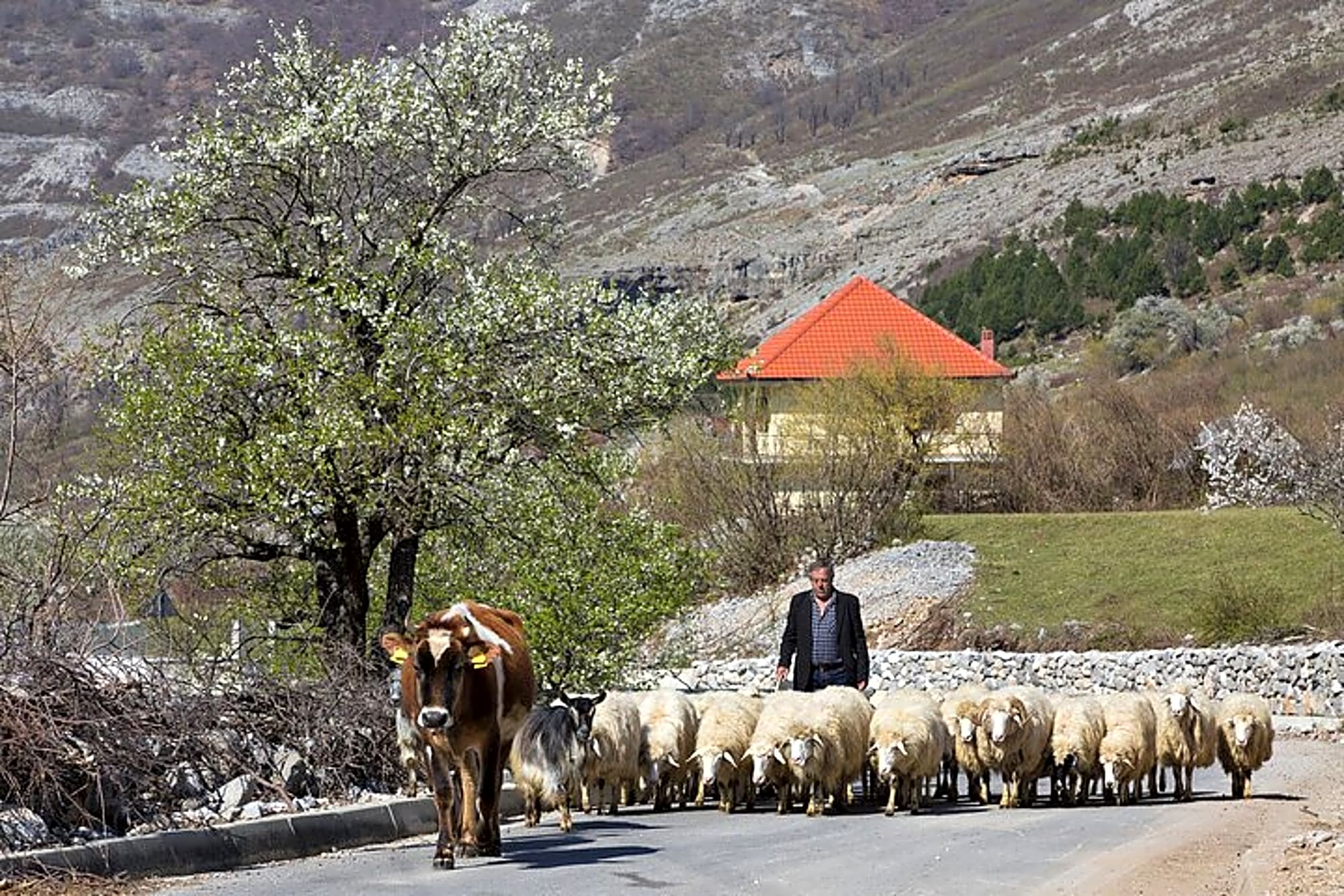 Peaks of the Albanian Alps Self Drive Off Road 7 Days Tour - Image 1
