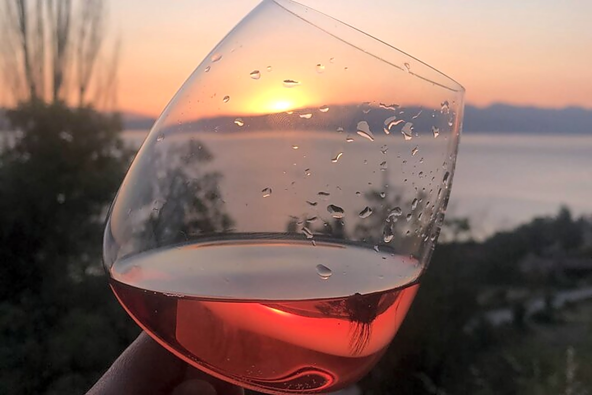 Vik's Unique Wine Tasting Experience in Ohrid - Image 1