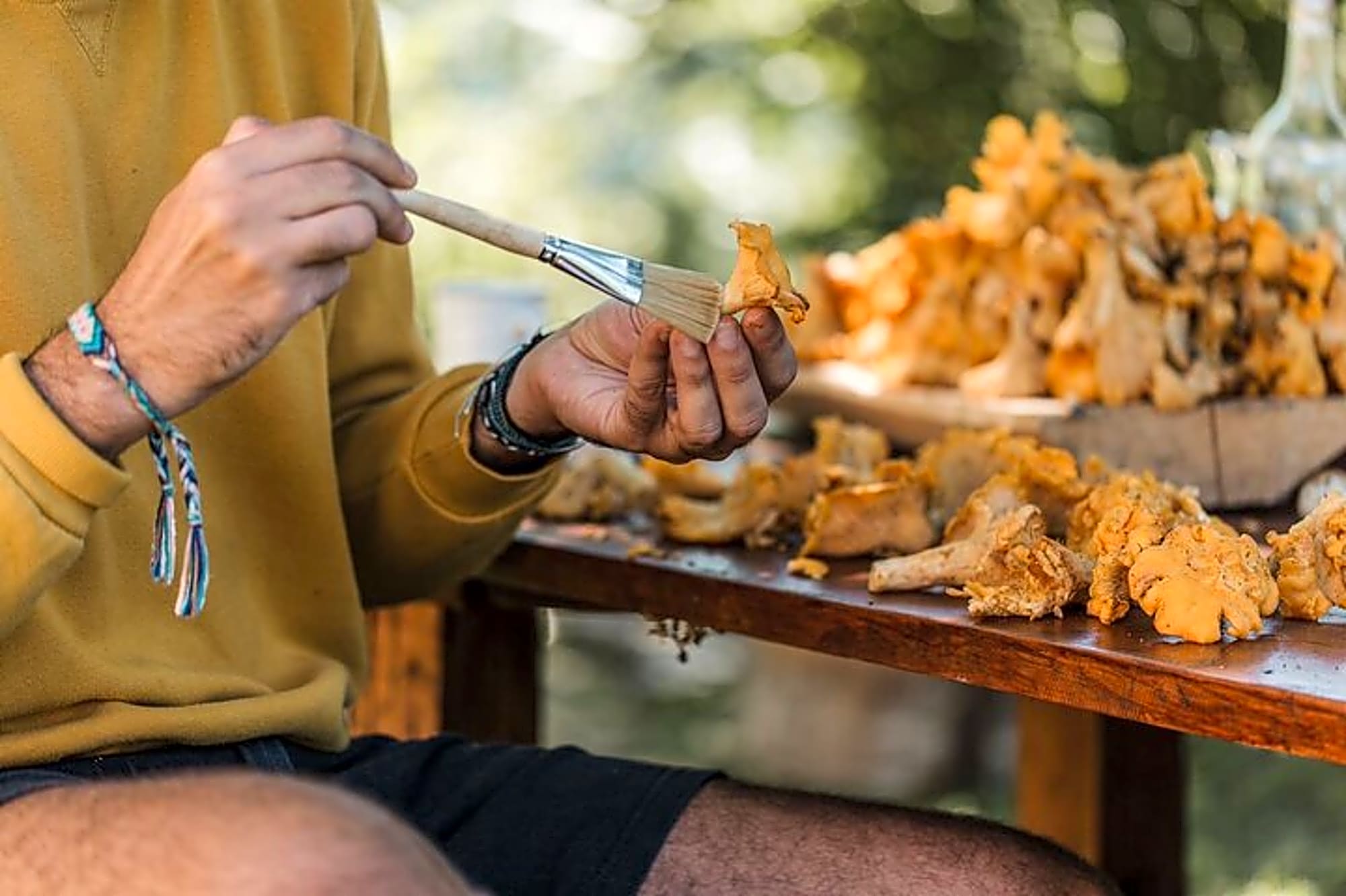 Forest Adventure Foraging and Cooking Experience - Image 1