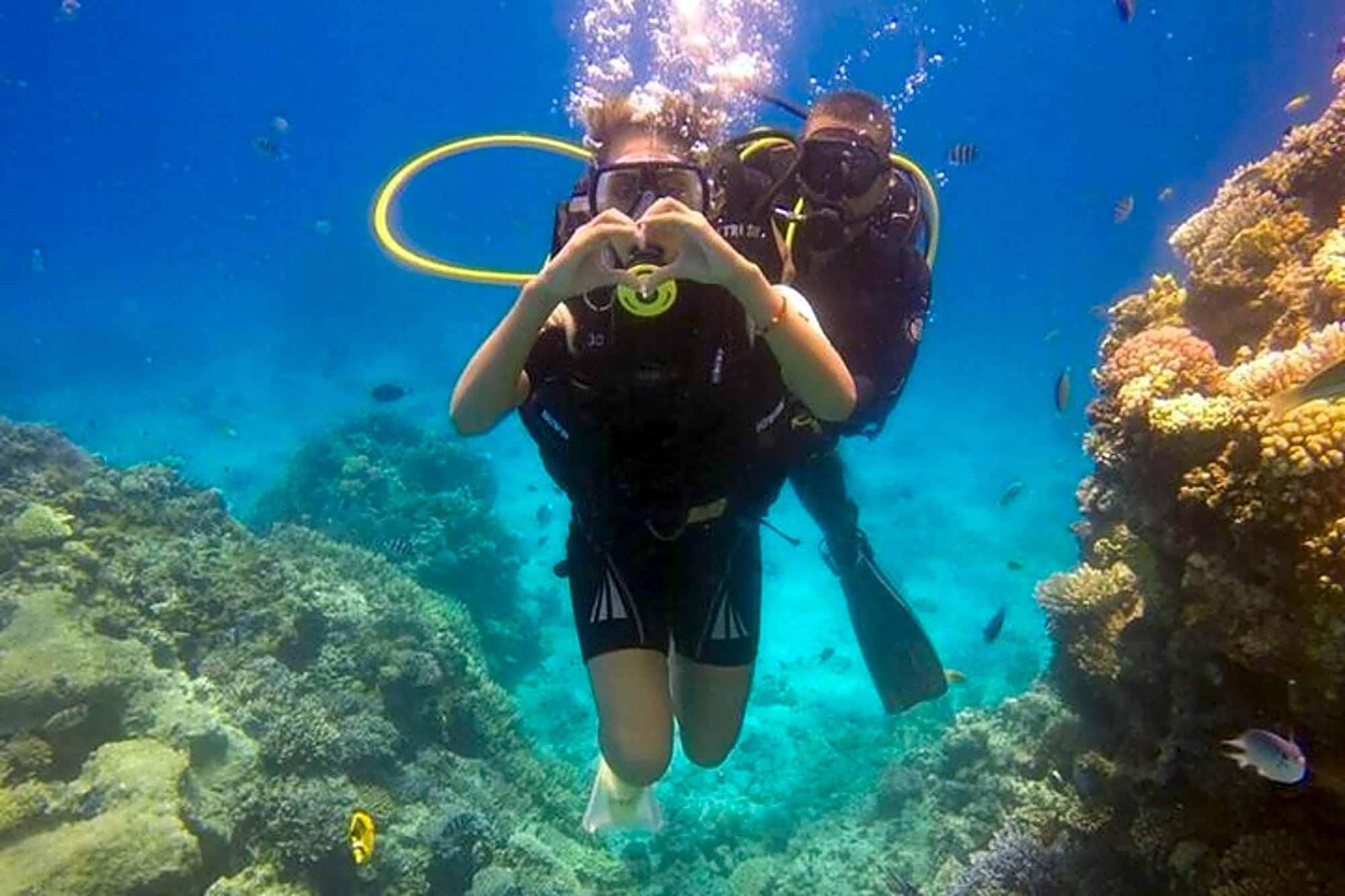 Explore Karaburun Peninsula with Guided Diving Activity - Image 1