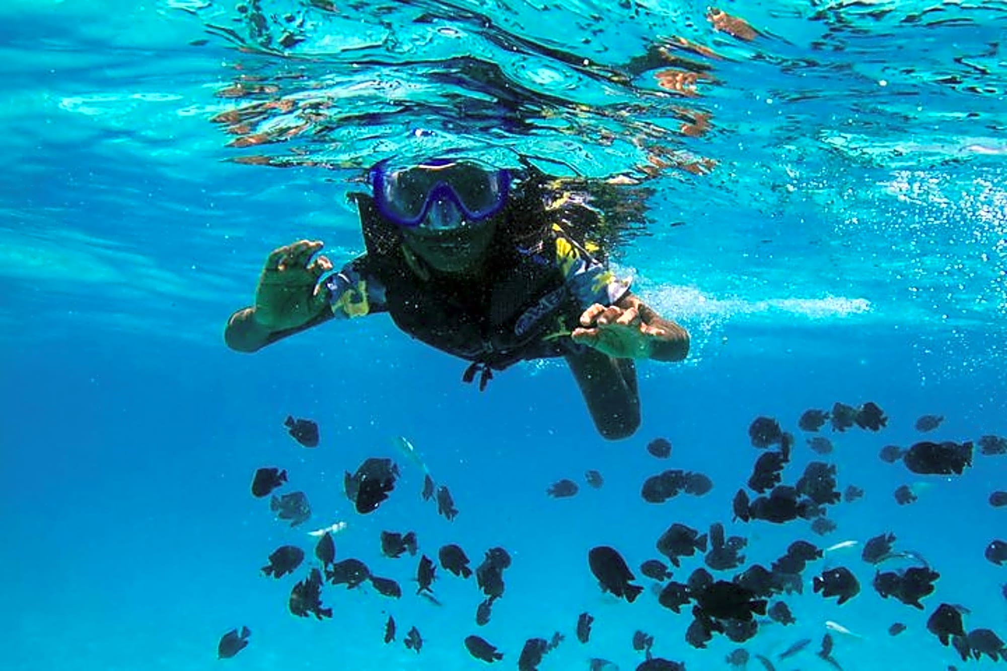 Tirana & Durres: Sazan Island, Cave & Karaburun Speedboat Trip - Image 1