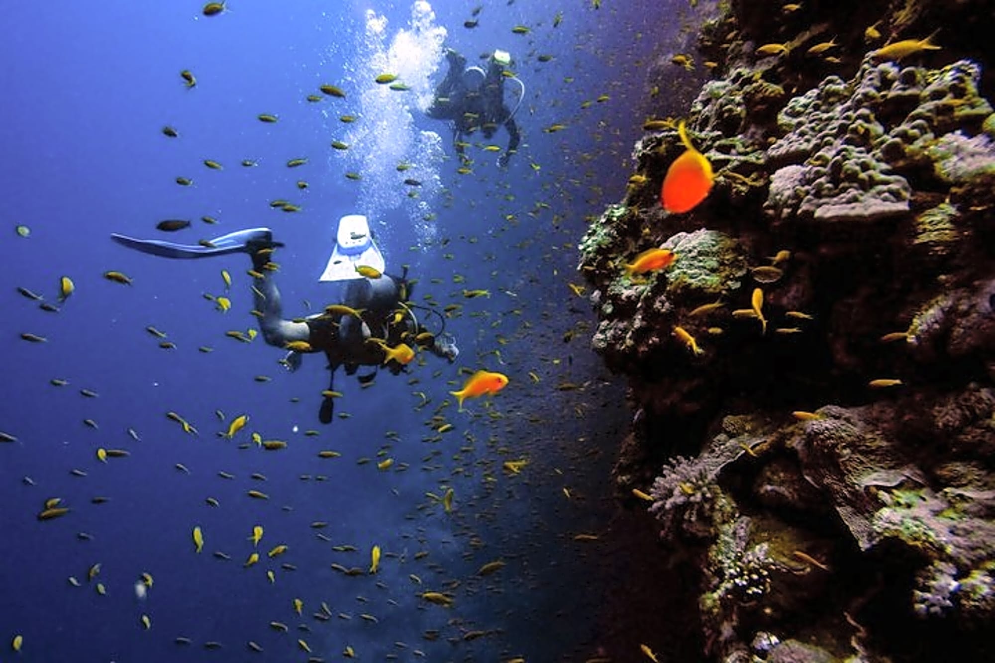 Try Scuba Diving in Budva: Boat Experience & Underwater Tunnels - Image 1