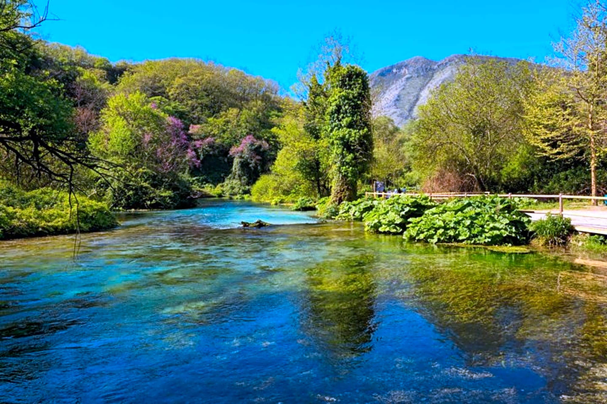 Blue Eye, Mesopotam Monastery & Lekuresi Castle: Expert Tour! - Image 1