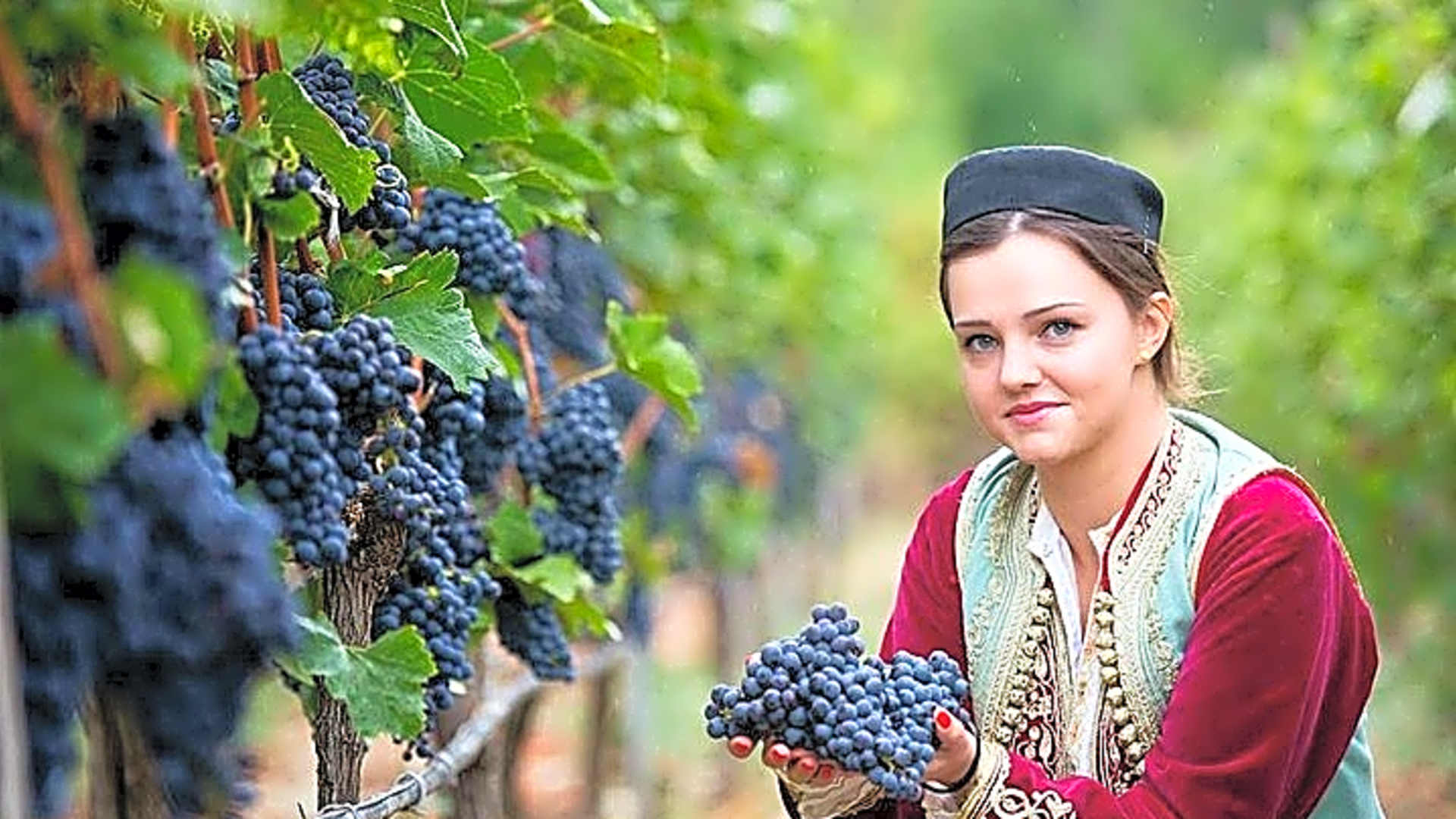 Crmnica Wine Road and Skadar Lake Cruising Tour - Montenegro