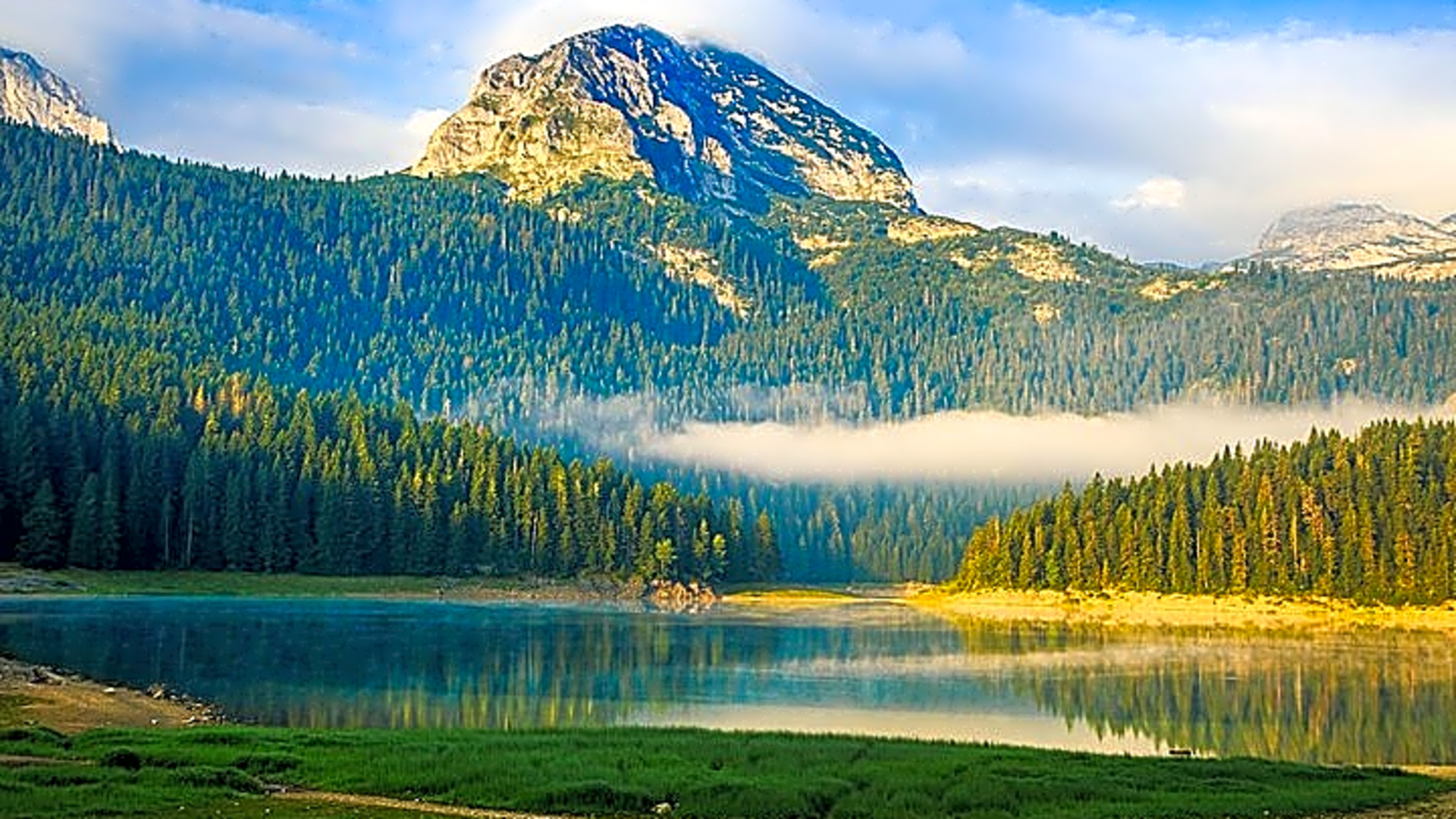 North of Montenegro Private Tour - Tara Canyon & National Parks - Montenegro