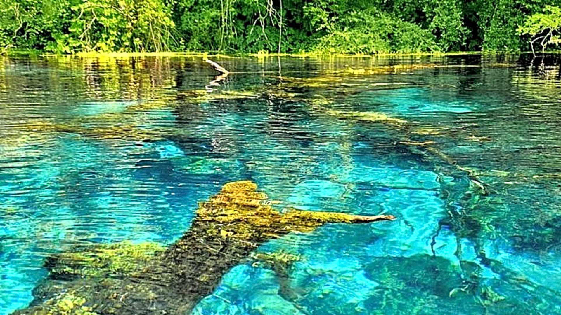 Visit The National Park of Blue Eye & Lekuresi castel - Albania