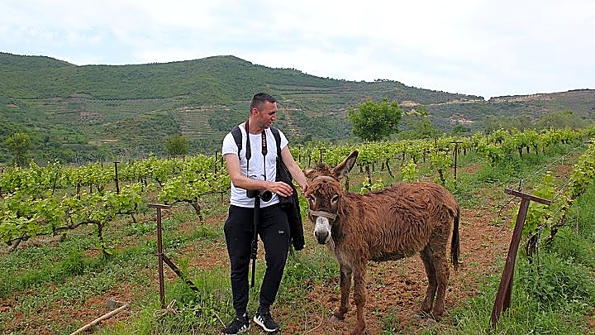 Albanian Highlights - UNESCO sites ,Nature and Food tour - Albania
