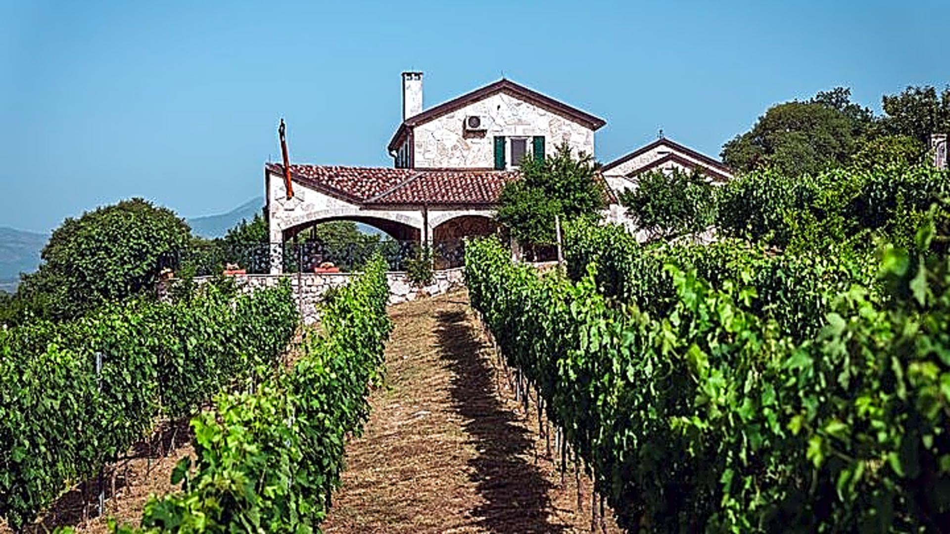 Wine tour- Family winery visit, food tasting & Skadar Lake boat cruise - Montenegro