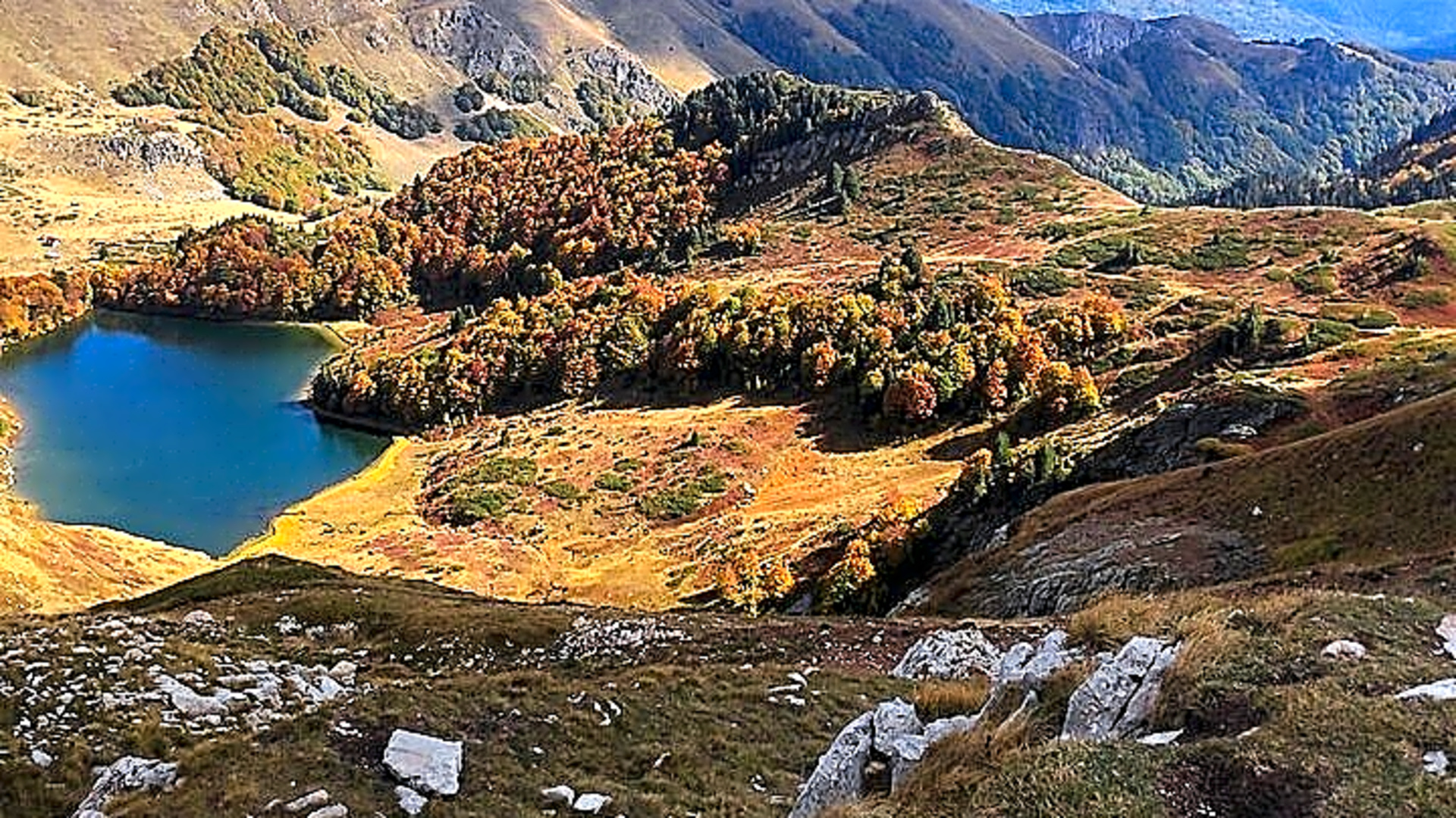 Jeep tour in National park Biogradska gora - Montenegro