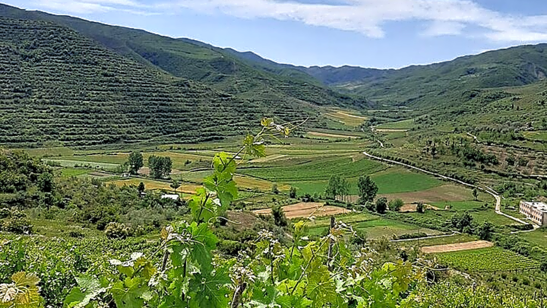 Berat 4x4 Off-Road and Vineyard Wine Tasting - Albania