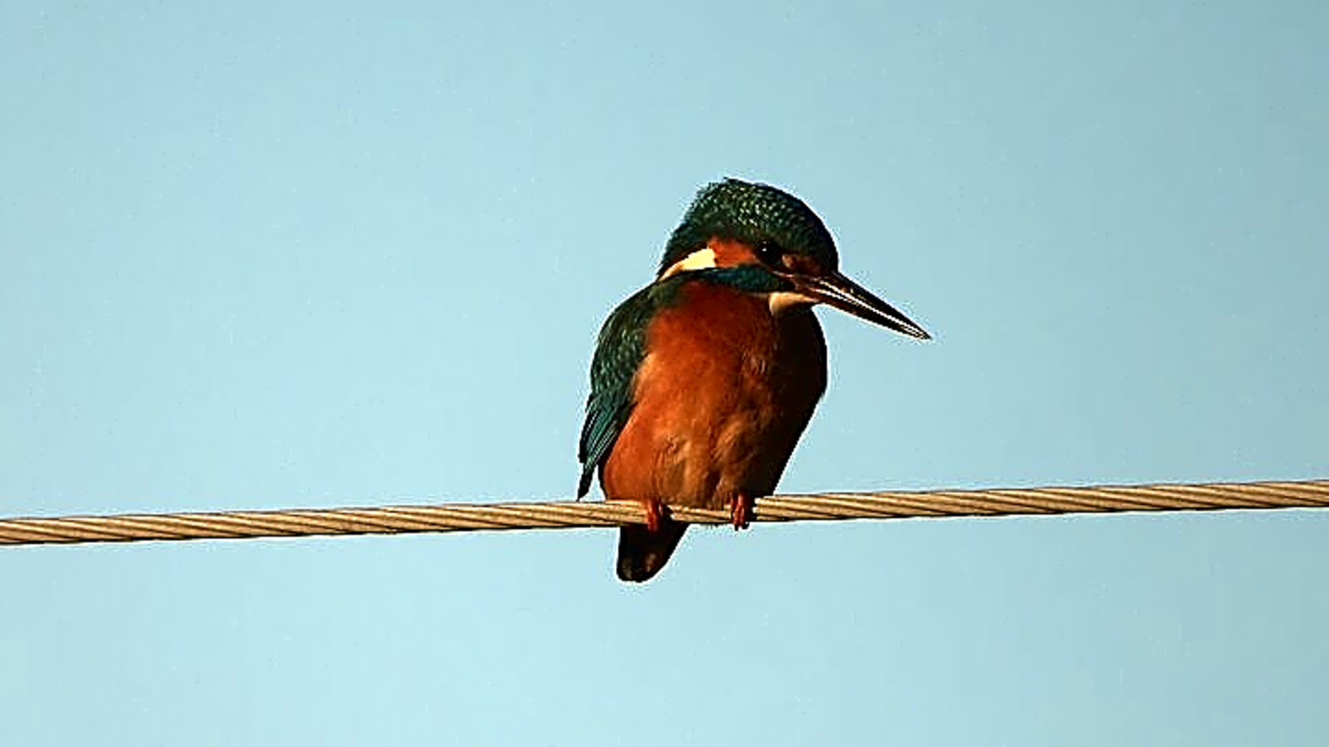 Albania Birdwatching Escape: 2-Day Guided Tour from Tirana - Albania