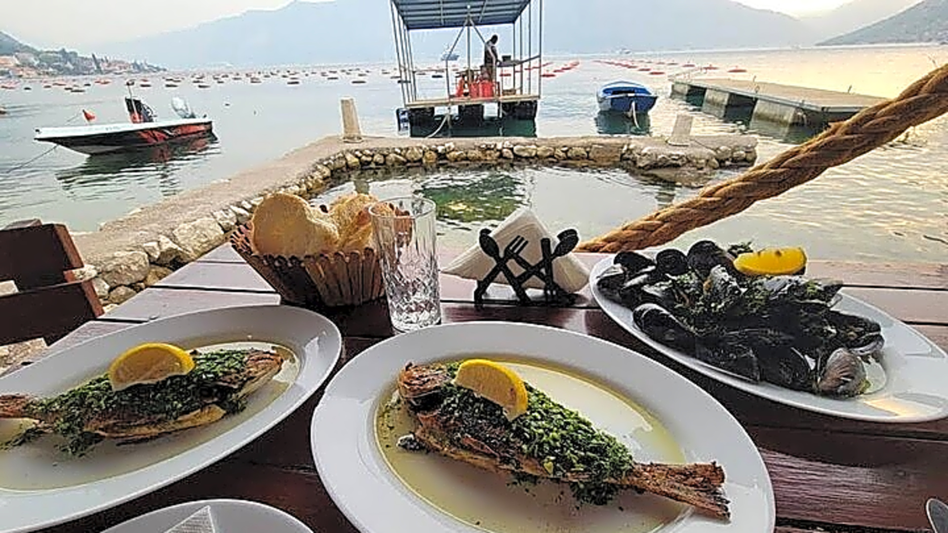 Port of Kotor - Kotor Bay tour with mussel farm experience - Montenegro