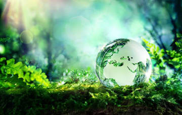 Environmental & Sustainability