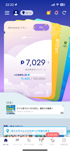 ANA Pocketの使い道