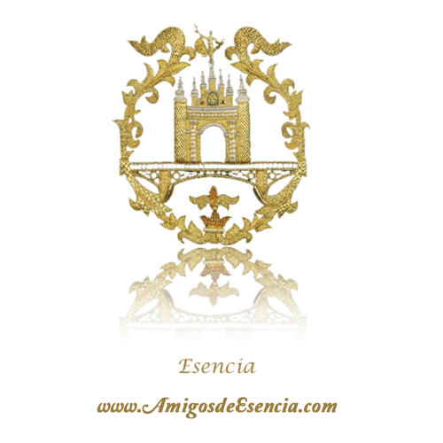 ¡Estrenamos web por nuestro 10 Aniversario!