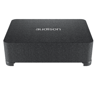 Audison Prima 10" subwoofer