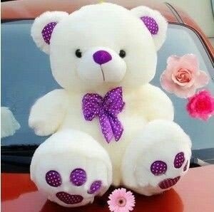 Teddy Bear Images 14