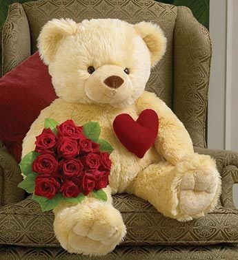 Teddy Bear Images 19
