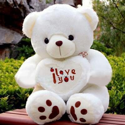 Teddy Bear Images 22