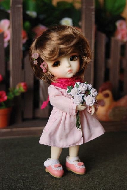 Doll Dp 72