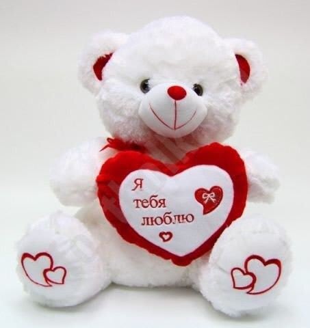 Teddy Bear Images 23