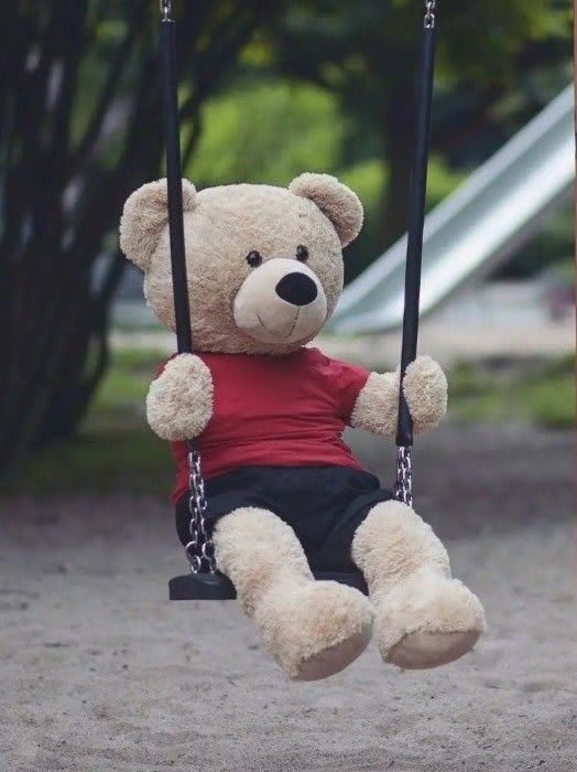 Teddy Bear Images 38
